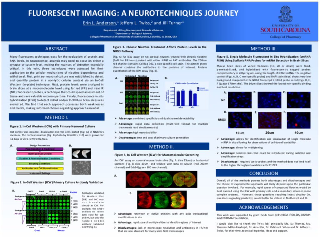 Poster for Neuro Retreat project 'Fluorescent Imaging: A Neurotechniques Journey'